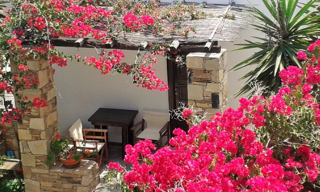 Cochili Rooms & Apartments Azolimnos Syros Room photo