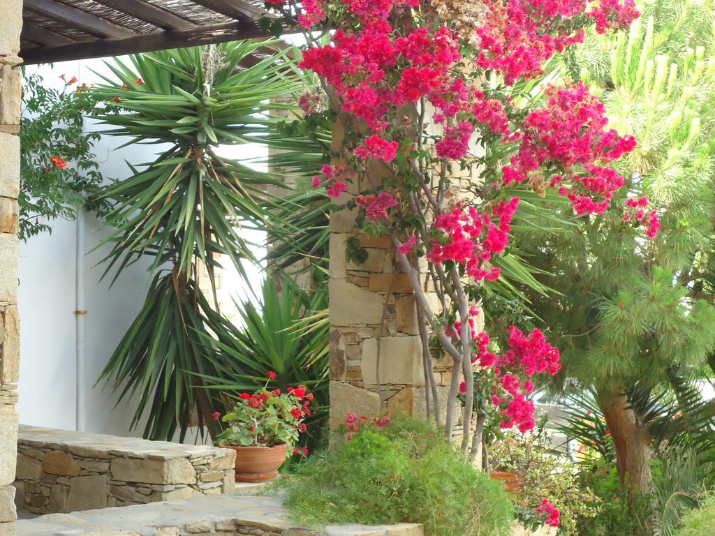Cochili Rooms & Apartments Azolimnos Syros Exterior photo